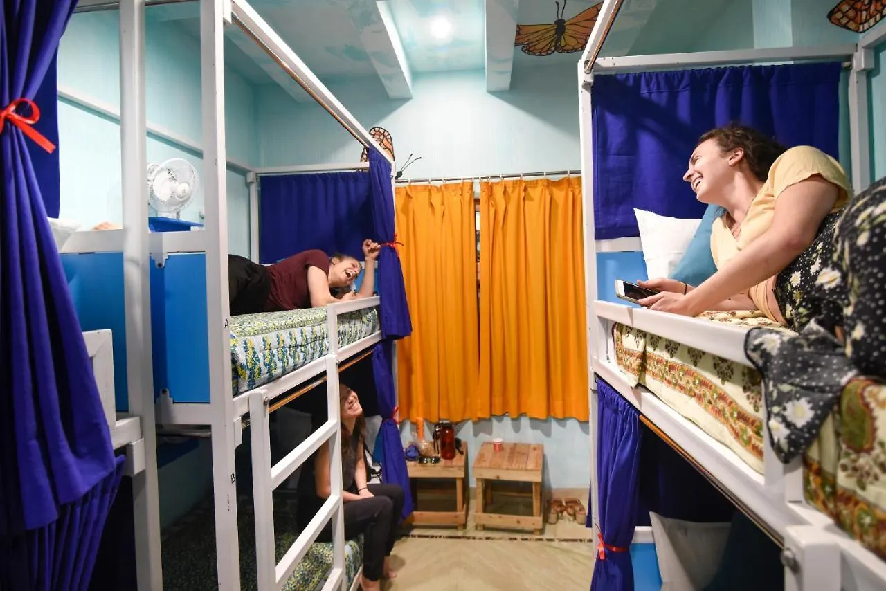 Gypsy Nest Hostel Agra