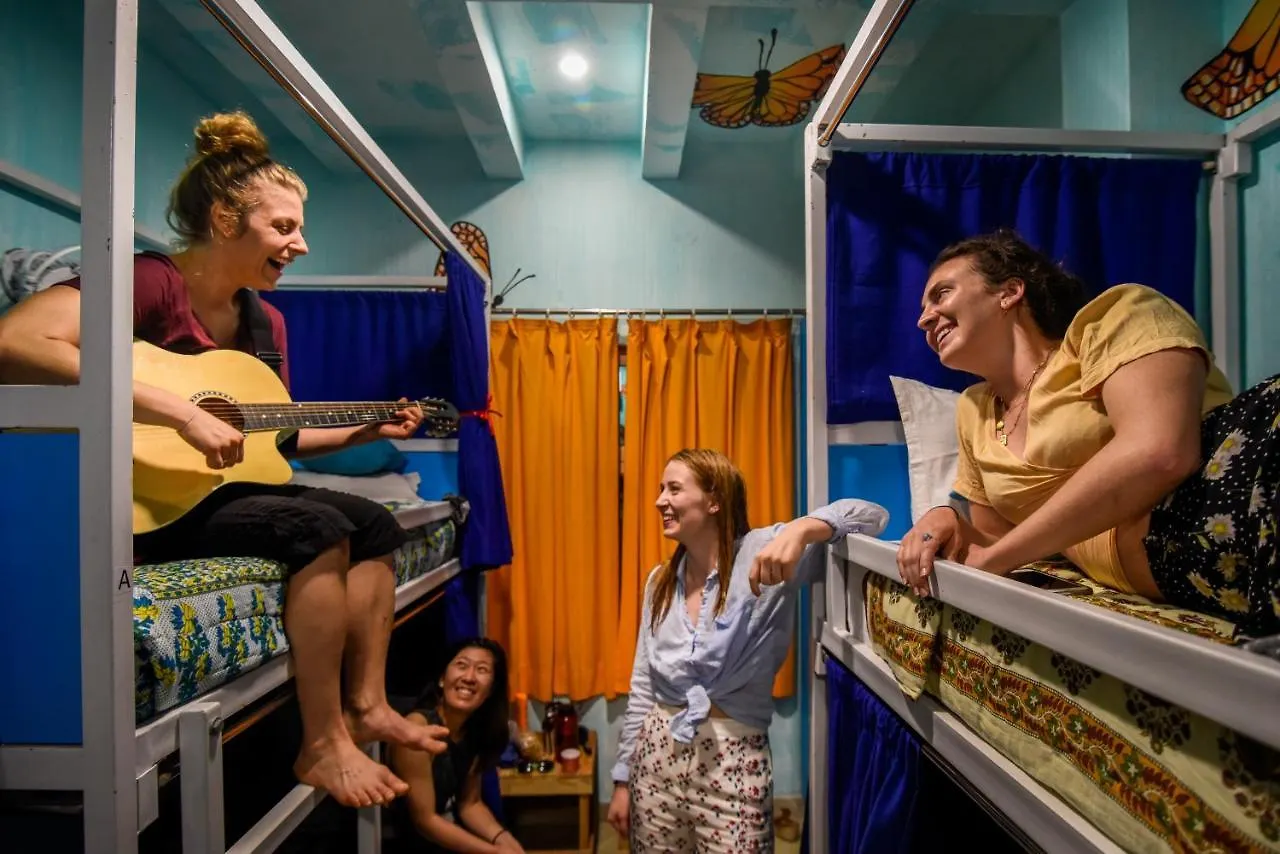 Gypsy Nest Hostel Agra  Agra (Uttar Pradesh)